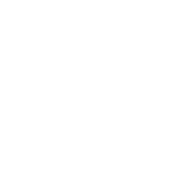 Sun Belts Logo